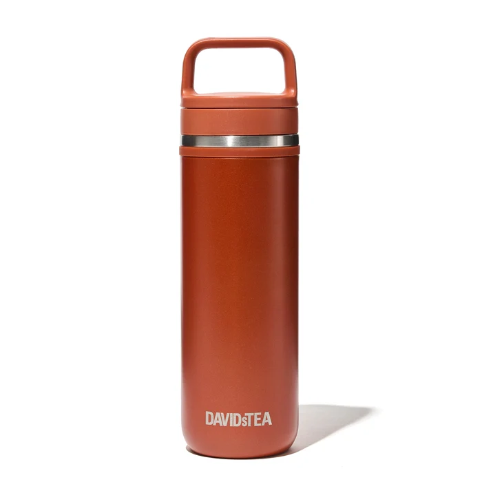 DAVIDsTEA Pumpkin Spice Carry Travel Mug Tea