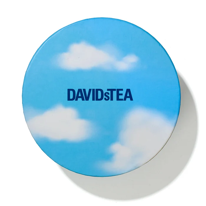 DAVIDsTEA Organic Feel Good Sachet Tea Wheel